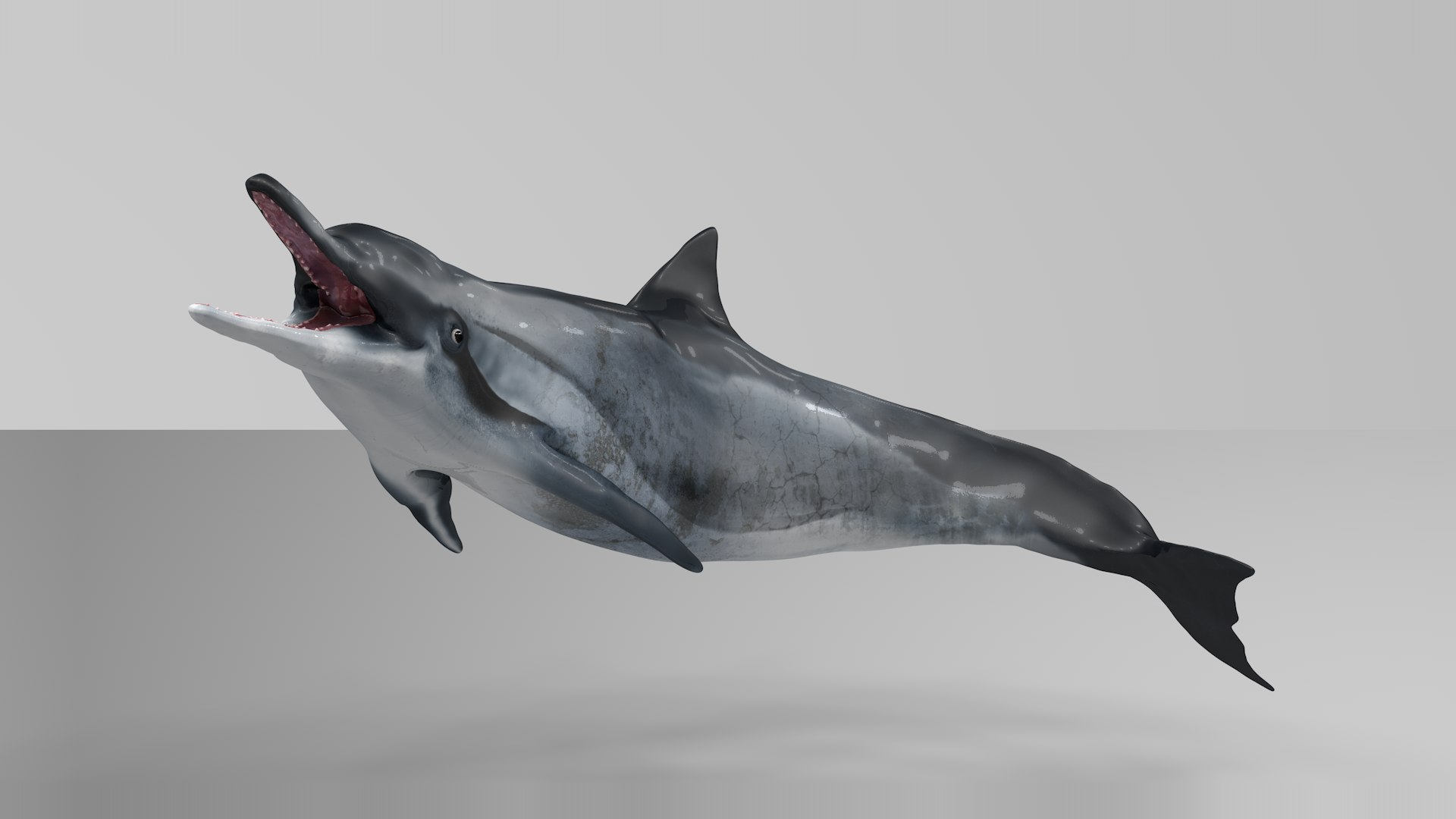 3D dolphin l936 https://p.turbosquid.com/ts-thumb/fG/ug3zGp/cstMghcL/09/png/1600225359/1920x1080/fit_q87/a5b4bbb186073381482d4806a56784a56afe9b98/09.jpg