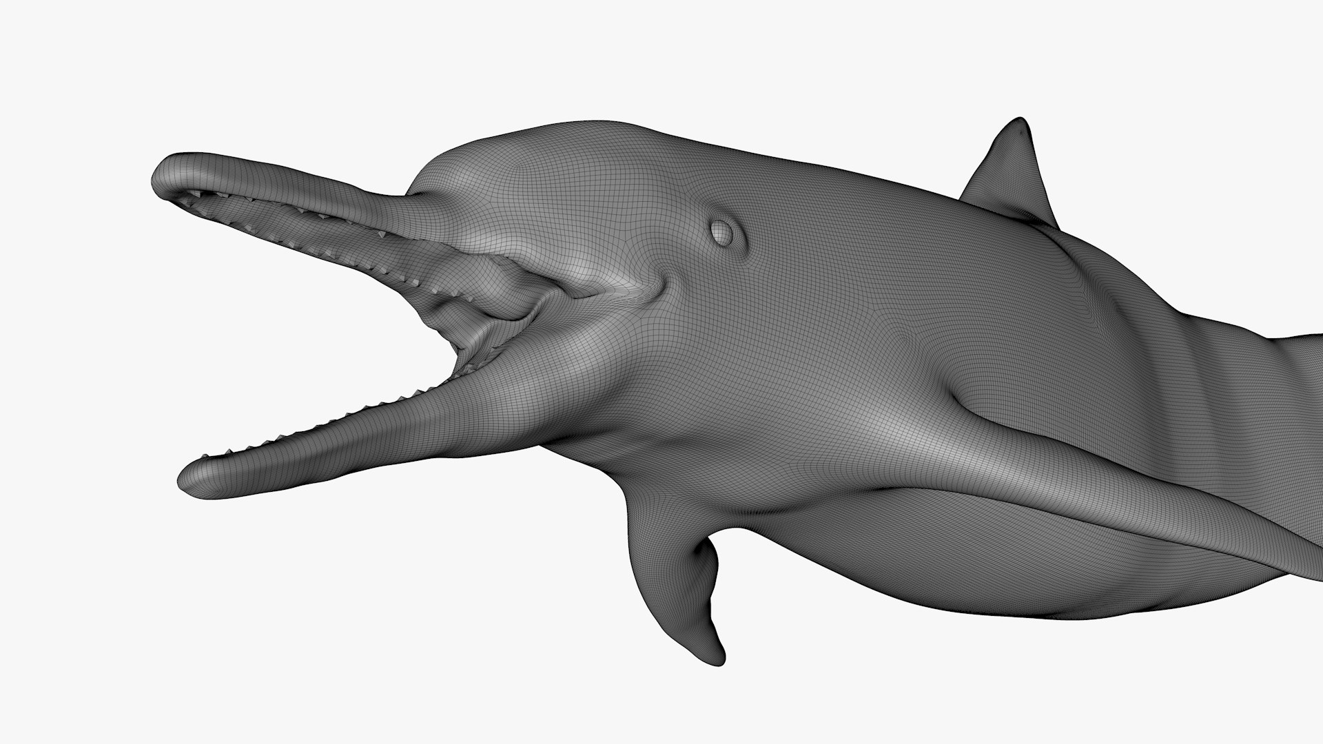 3D dolphin l936 https://p.turbosquid.com/ts-thumb/fG/ug3zGp/e528Vhqa/43/png/1600225486/1920x1080/fit_q87/a878fe448d3ba77e11b6cd04a6f96f830bca8fb8/43.jpg