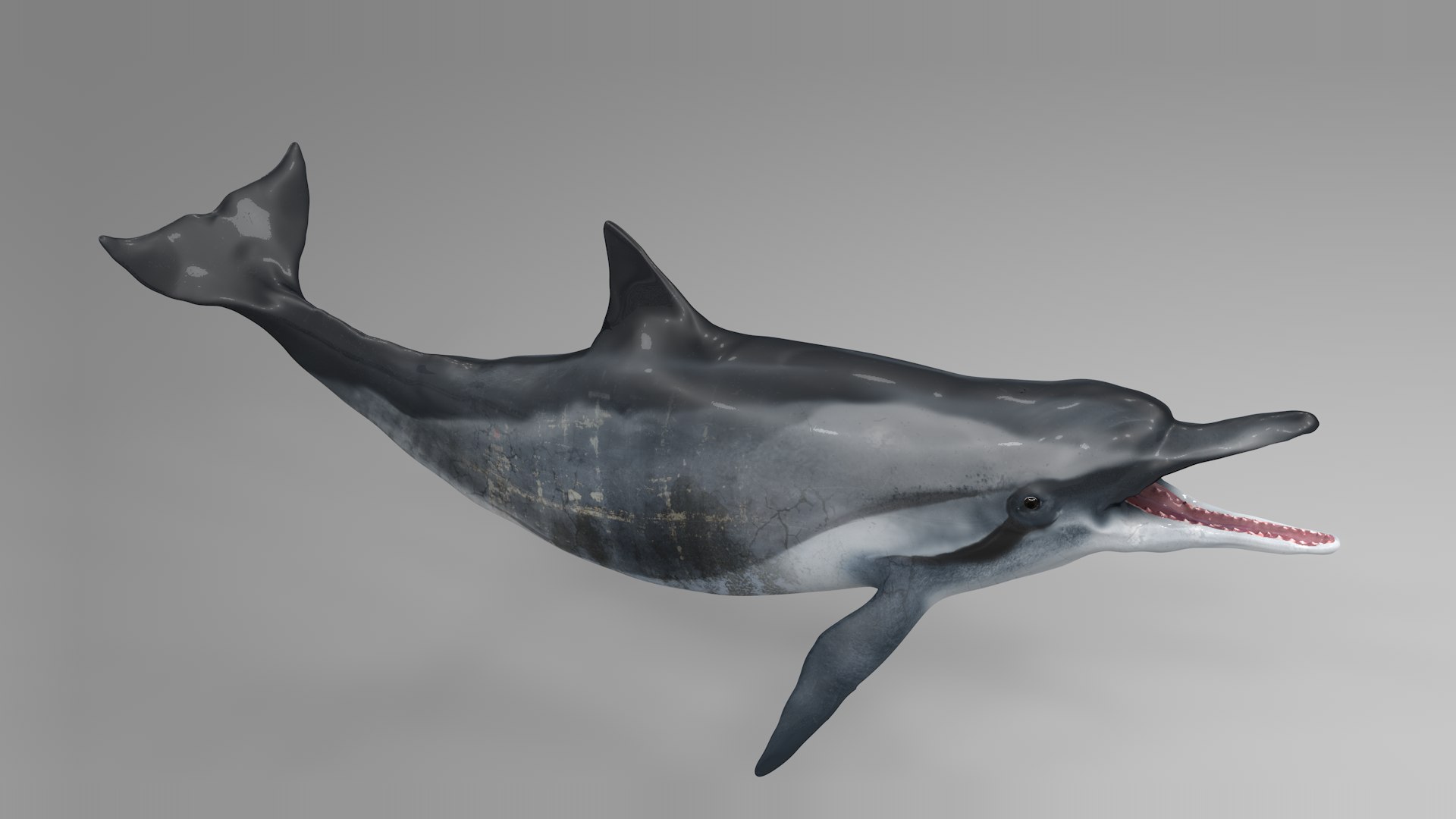 3D dolphin l936 https://p.turbosquid.com/ts-thumb/fG/ug3zGp/gToSJglr/05/png/1600225356/1920x1080/fit_q87/f0a813711ddafa3152ddf861c611d58783bcce42/05.jpg