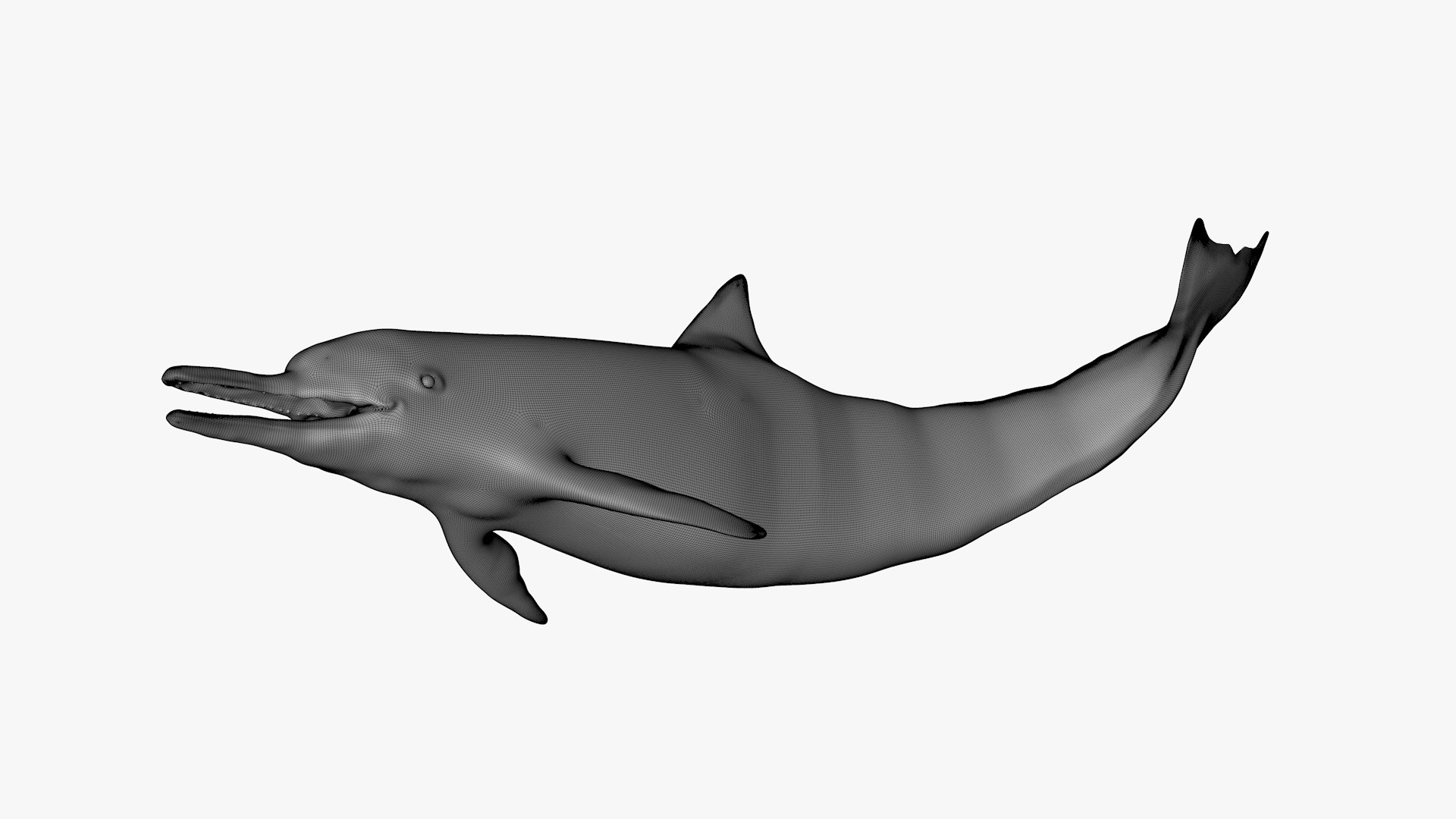 3D dolphin l936 https://p.turbosquid.com/ts-thumb/fG/ug3zGp/hLUpMpS9/39/png/1600225482/1920x1080/fit_q87/f72b742c1acdcbb26b5193c2d68a11f7fd9eb69c/39.jpg