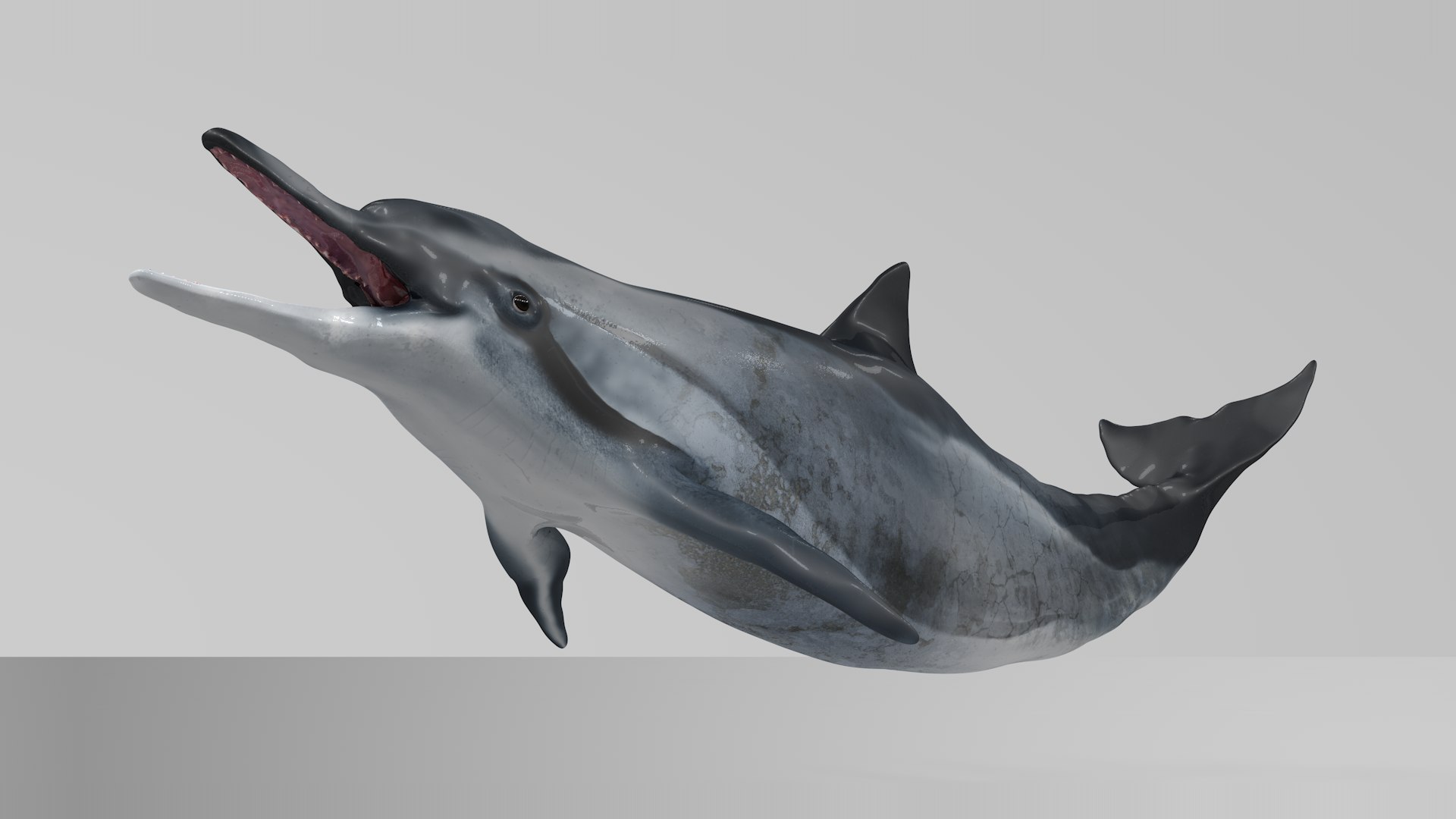 3D dolphin l936 https://p.turbosquid.com/ts-thumb/fG/ug3zGp/jDanWLUX/06/png/1600225356/1920x1080/fit_q87/a77c9f652a13e6cb64b9603d7006590d56b2d8c8/06.jpg