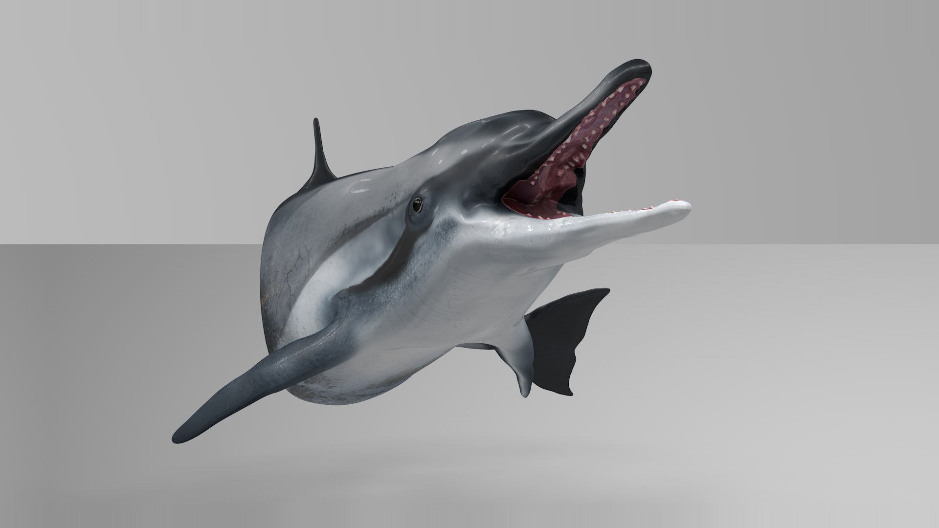 3D dolphin l936 https://p.turbosquid.com/ts-thumb/fG/ug3zGp/jmWEzF3V/15/png/1600225369/1920x1080/fit_q87/a3f1594ca0bc98abaaa64c64c147089362bf3e87/15.jpg