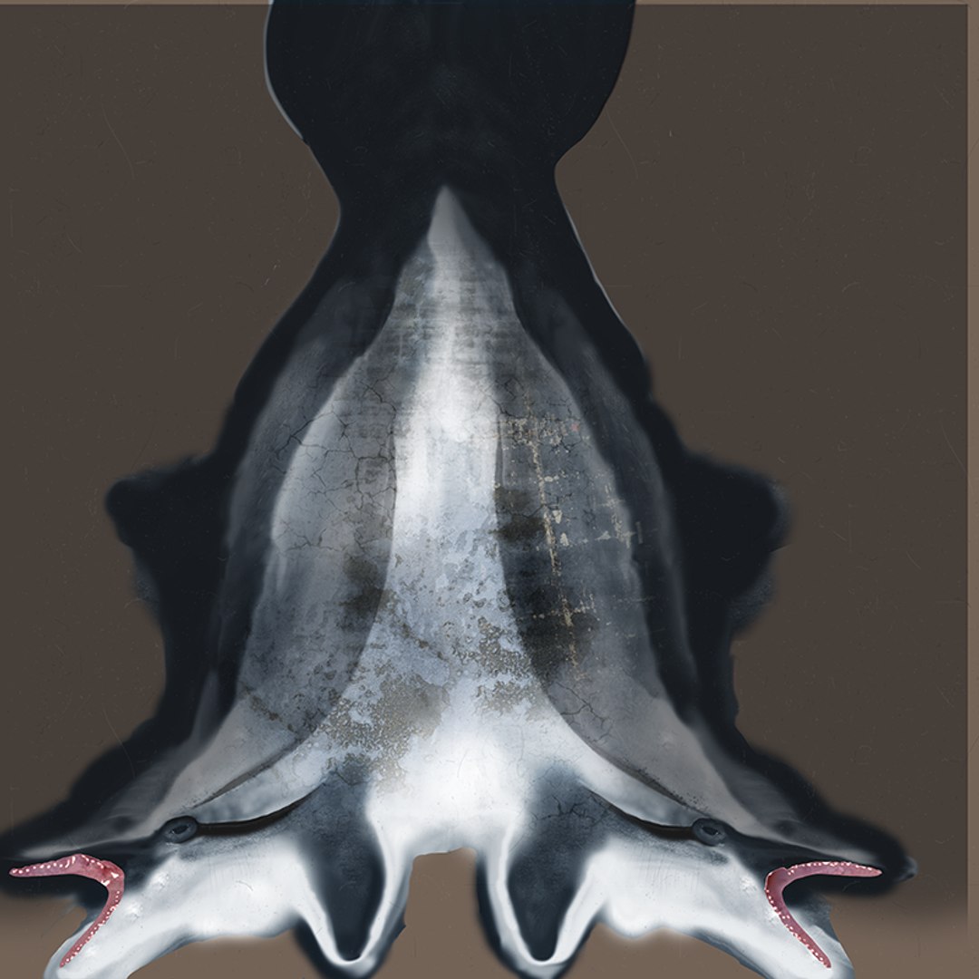 3D dolphin l936 https://p.turbosquid.com/ts-thumb/fG/ug3zGp/x8WgzwhE/uv/png/1600225372/1920x1080/fit_q87/ddb54aa83fcca42537fa14a9ab9aed9c426a918b/uv.jpg
