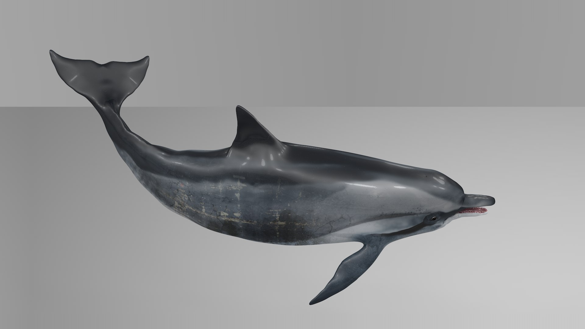 3D dolphin l936 https://p.turbosquid.com/ts-thumb/fG/ug3zGp/yjaHQbTv/10/png/1600225362/1920x1080/fit_q87/cfd390a4db52459727a246a884924d55df4ff117/10.jpg
