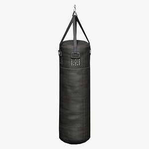 Punching Bag 3D