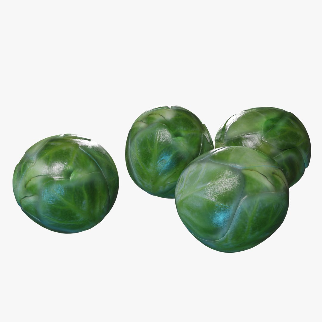 3D model brussel sprouts https://p.turbosquid.com/ts-thumb/fH/Ef5GIy/RgQz2zLa/bs_04/jpg/1586825481/1920x1080/fit_q87/d5602e1424eb52bc3d635a8d86d3bc4e869ea74b/bs_04.jpg