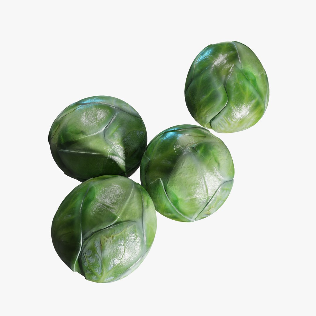 3D model brussel sprouts https://p.turbosquid.com/ts-thumb/fH/Ef5GIy/aCnbhShN/bs_03/jpg/1586825481/1920x1080/fit_q87/d054a70355fa096a7f1f12ffb195663cbdb34f3d/bs_03.jpg