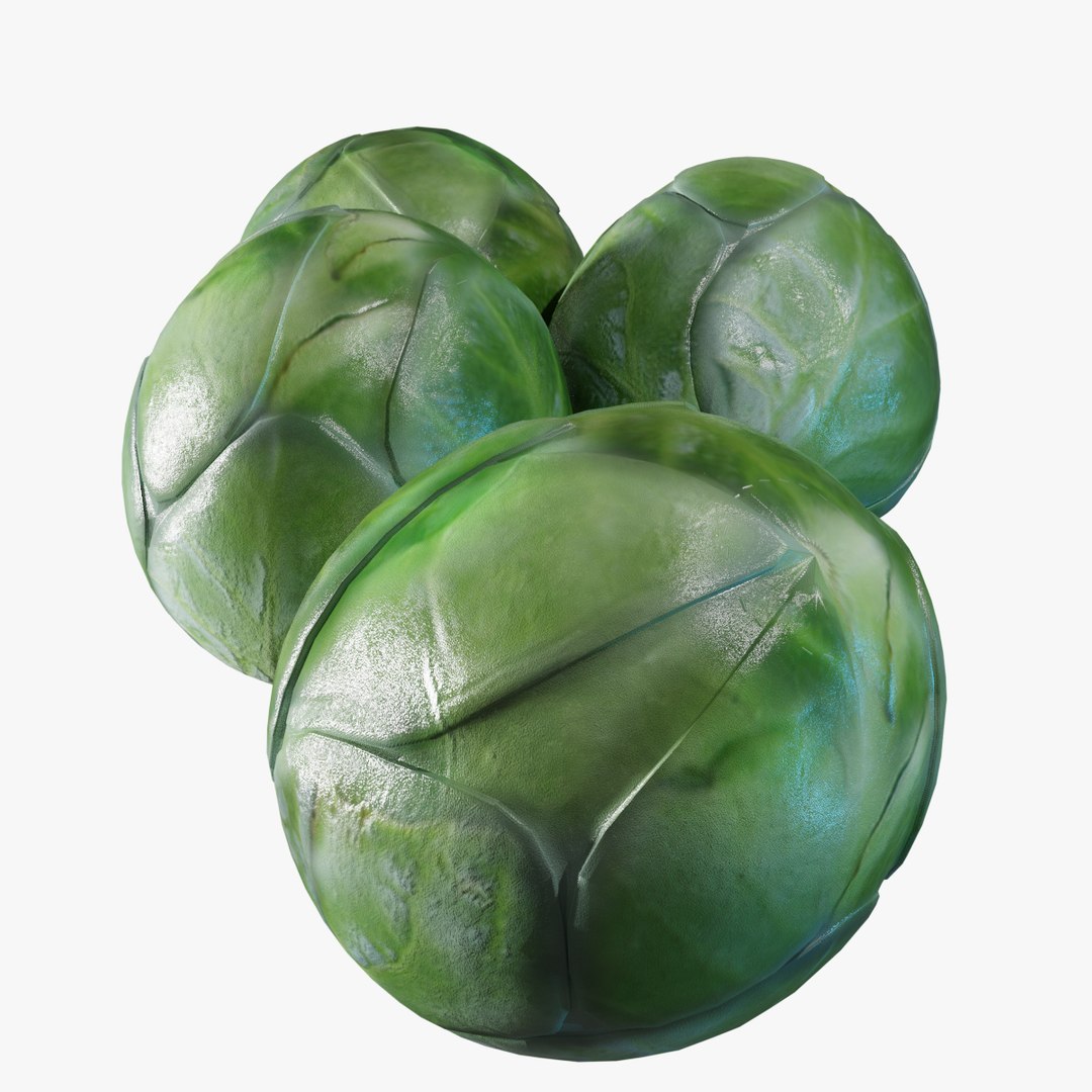 3D model brussel sprouts https://p.turbosquid.com/ts-thumb/fH/Ef5GIy/twKLkpQa/bs_05/jpg/1586825481/1920x1080/fit_q87/2f8058d86435f578f48590313a67c6a4244890aa/bs_05.jpg