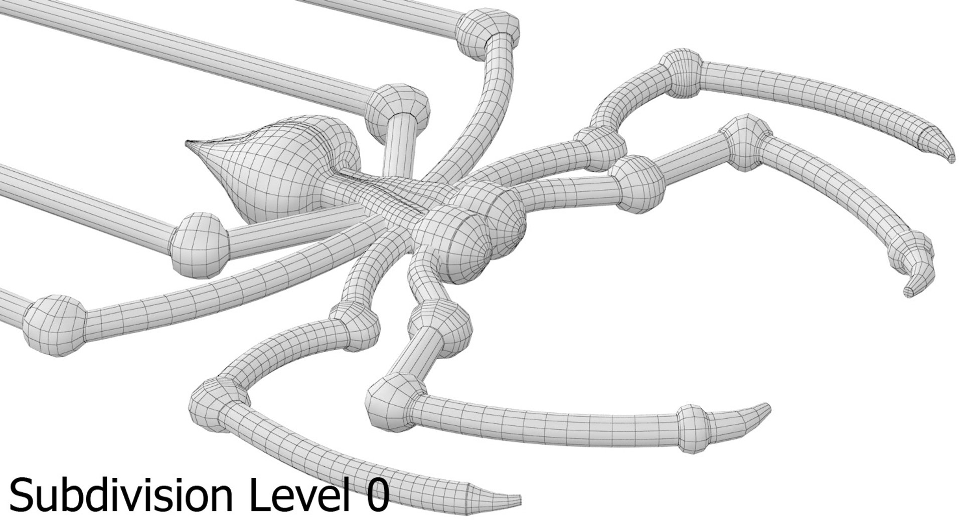 3D spider realistic model https://p.turbosquid.com/ts-thumb/fH/MJFAy0/Udo8GcCo/sm_2_0/jpg/1541357238/1920x1080/fit_q87/b74c963ad5b0c78afc9fb455ad29760cf2ea23f7/sm_2_0.jpg