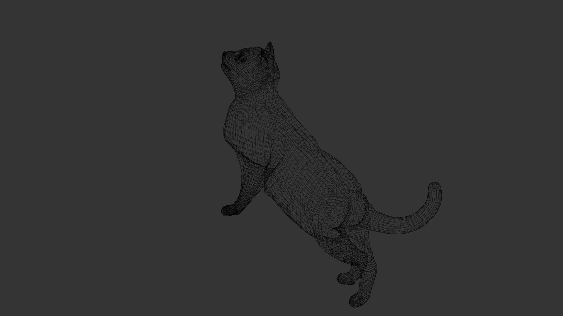 Sci Fi Robot Iron Cat Low-poly 3D model 3D model https://p.turbosquid.com/ts-thumb/fH/NicDdJ/A5/scificatfighterriggedwire/png/1774990513/1920x1080/fit_q87/41fcf7df80c2aa19b1b8be8adb73296ea957e4ce/scificatfighterriggedwire.jpg