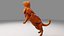 Modello 3D low-poly del robot fantascientifico Iron Cat.