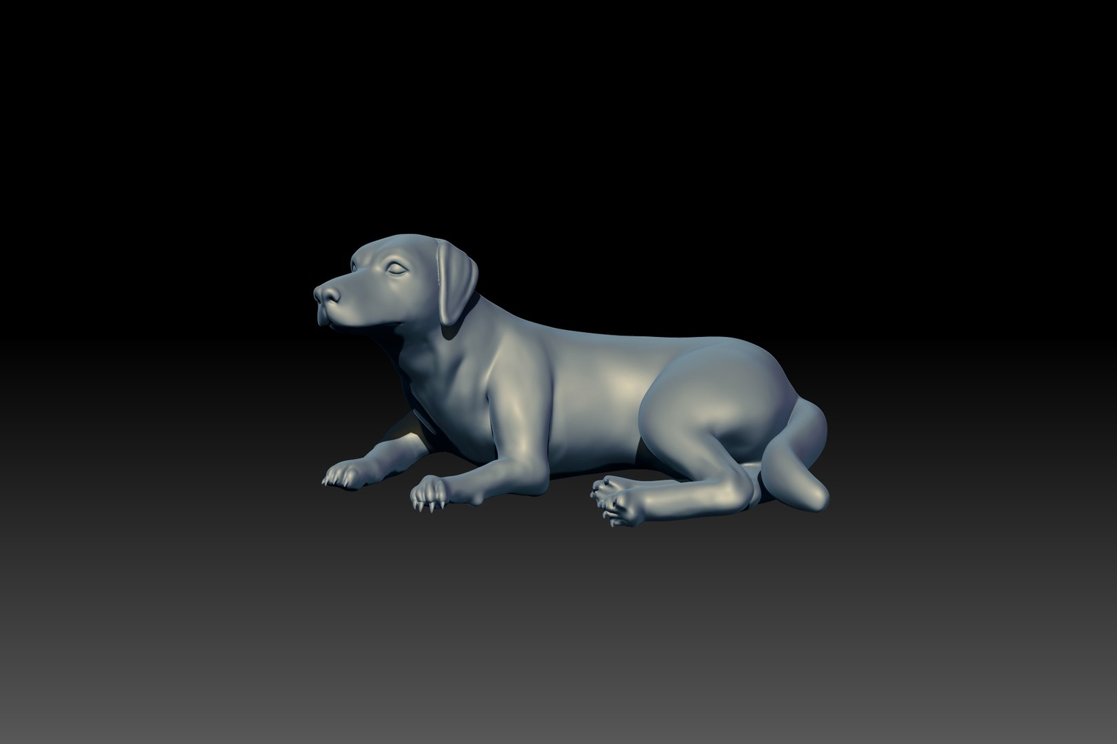 3D Labrador 3D Print Model Model - TurboSquid 2407713