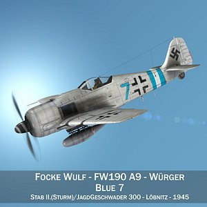 Focke Wulf - FW190 A9 - Blue 7