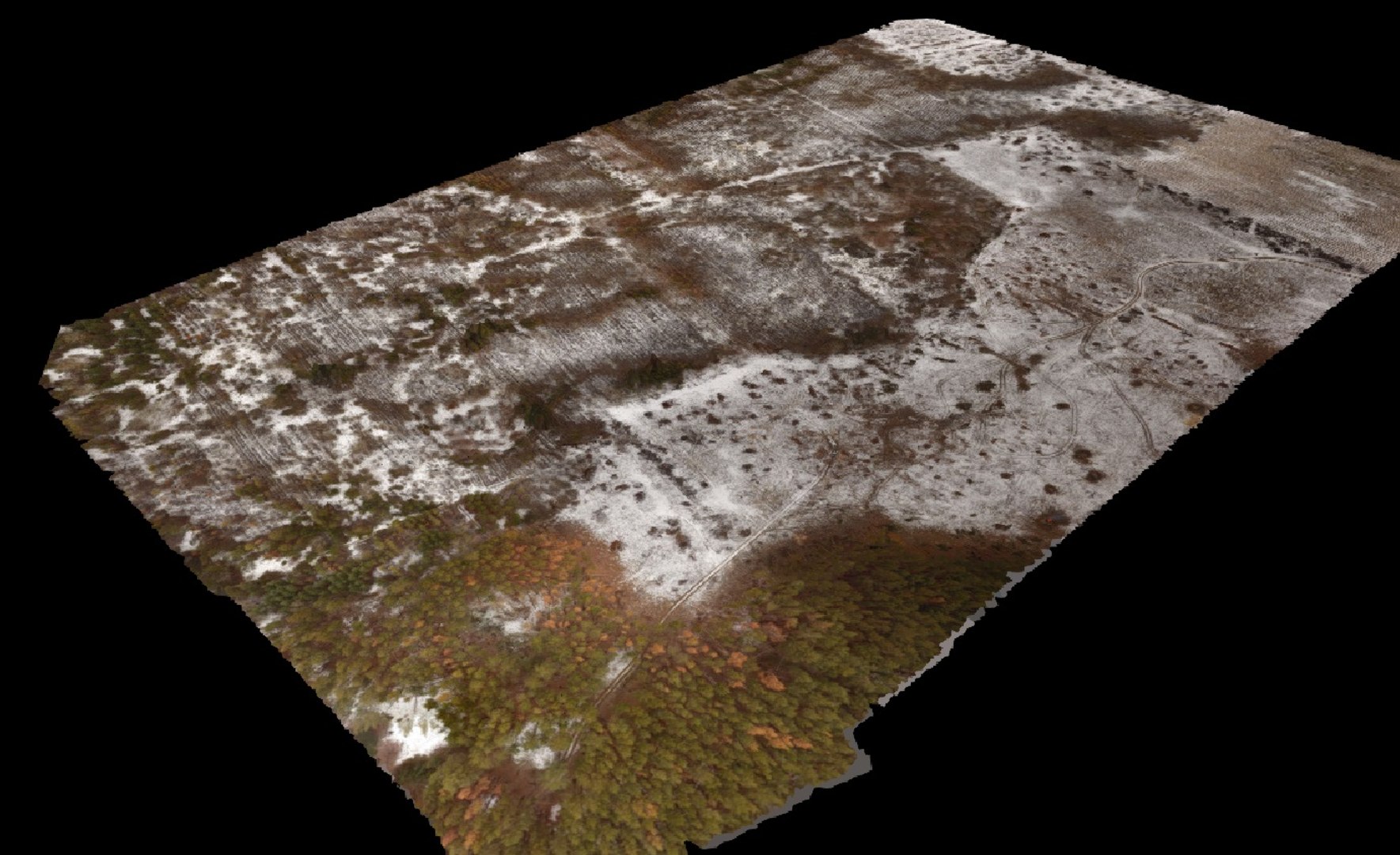 3D forest model https://p.turbosquid.com/ts-thumb/fH/nHP17n/4kJASSlD/5/jpg/1548024038/1920x1080/fit_q87/f5541018ffec6247cae1ca3691f9d8d54b10b5ed/5.jpg