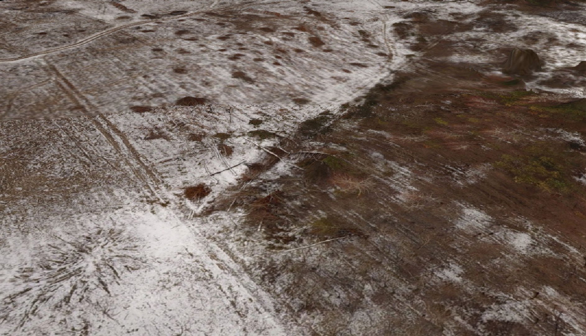 3D forest model https://p.turbosquid.com/ts-thumb/fH/nHP17n/6wYzJy3A/3/png/1548024014/1920x1080/fit_q87/bab293ea630cb946d7bb06d749bbd833e9b75f1a/3.jpg