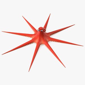 Cartoon Character Octopus