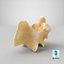 Kangaroo Red Necked Wallaby Cervical Vertebrae C2 Axis(1) 3D
