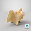 Kangaroo Red Necked Wallaby Cervical Vertebrae C2 Axis(1) 3D