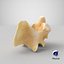Kangaroo Red Necked Wallaby Cervical Vertebrae C2 Axis(1) 3D