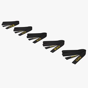 Black Martial Arts Obi Belts Set