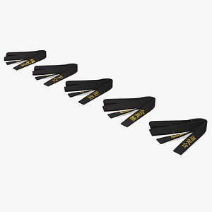 Black Martial Arts Obi Belts Set
