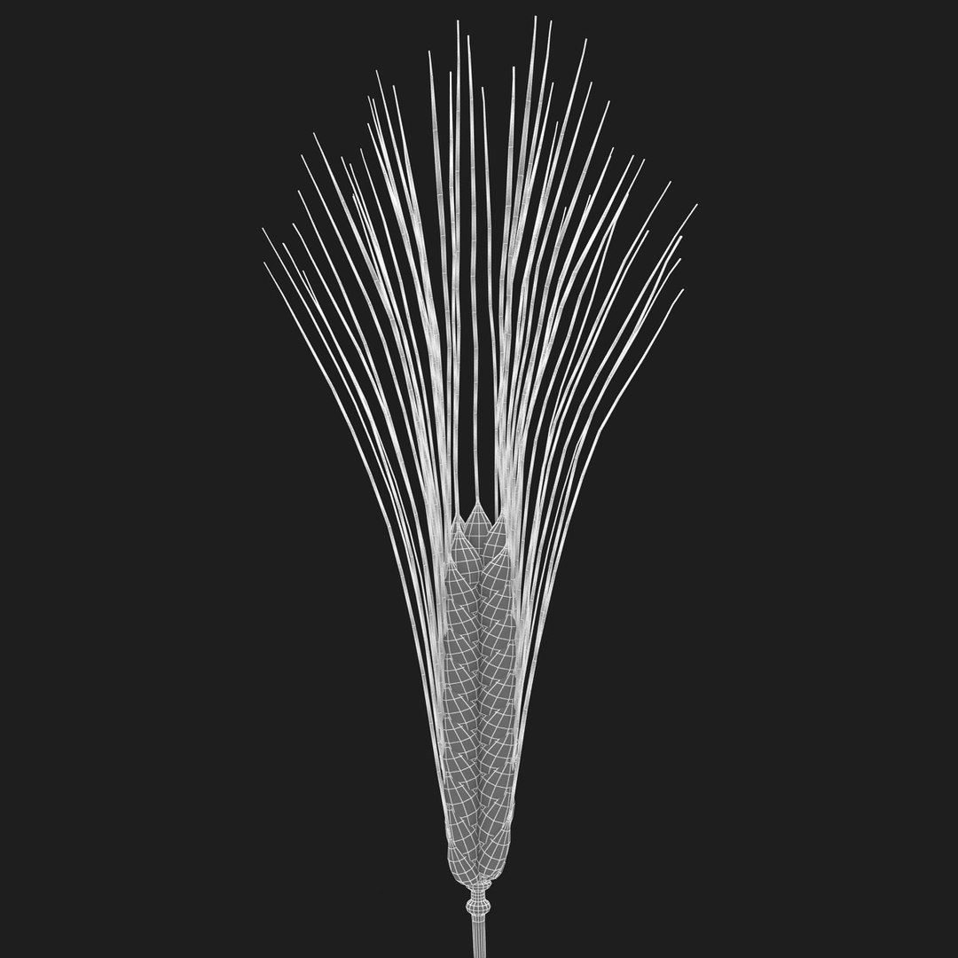 carbohydrates 3 3D https://p.turbosquid.com/ts-thumb/fI/0cByBQ/61GvnVJr/20/jpg/1552323088/1920x1080/fit_q87/bdfd5bdd38ef5e8f6de7652a8887576c5d559b56/20.jpg