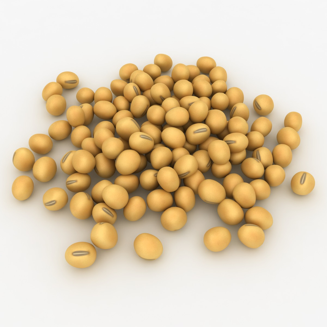 carbohydrates 3 3D https://p.turbosquid.com/ts-thumb/fI/0cByBQ/MksHrkO5/soybean_diffusemap/jpg/1552469219/1920x1080/turn_fit_q99/1f83b84759d072d11f0fa9425de7b2110f118552/soybean_diffusemap-1.jpg