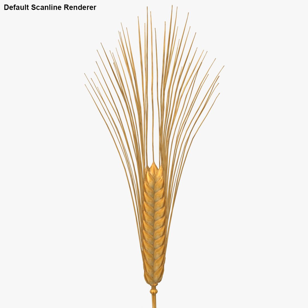 carbohydrates 3 3D https://p.turbosquid.com/ts-thumb/fI/0cByBQ/Z7GP4L5R/25/jpg/1552323089/1920x1080/fit_q87/bc47e2733d7db89f7c5301c70c35bc5c7e9931bd/25.jpg