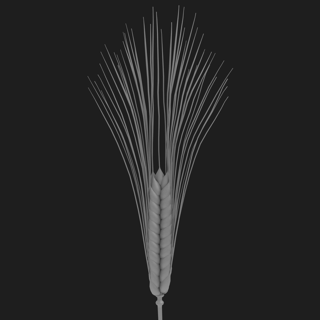 carbohydrates 3 3D https://p.turbosquid.com/ts-thumb/fI/0cByBQ/br4ksvE8/21/jpg/1552323089/1920x1080/fit_q87/52defb84cca0d4a78ffd8e0afd6143007cf5636b/21.jpg