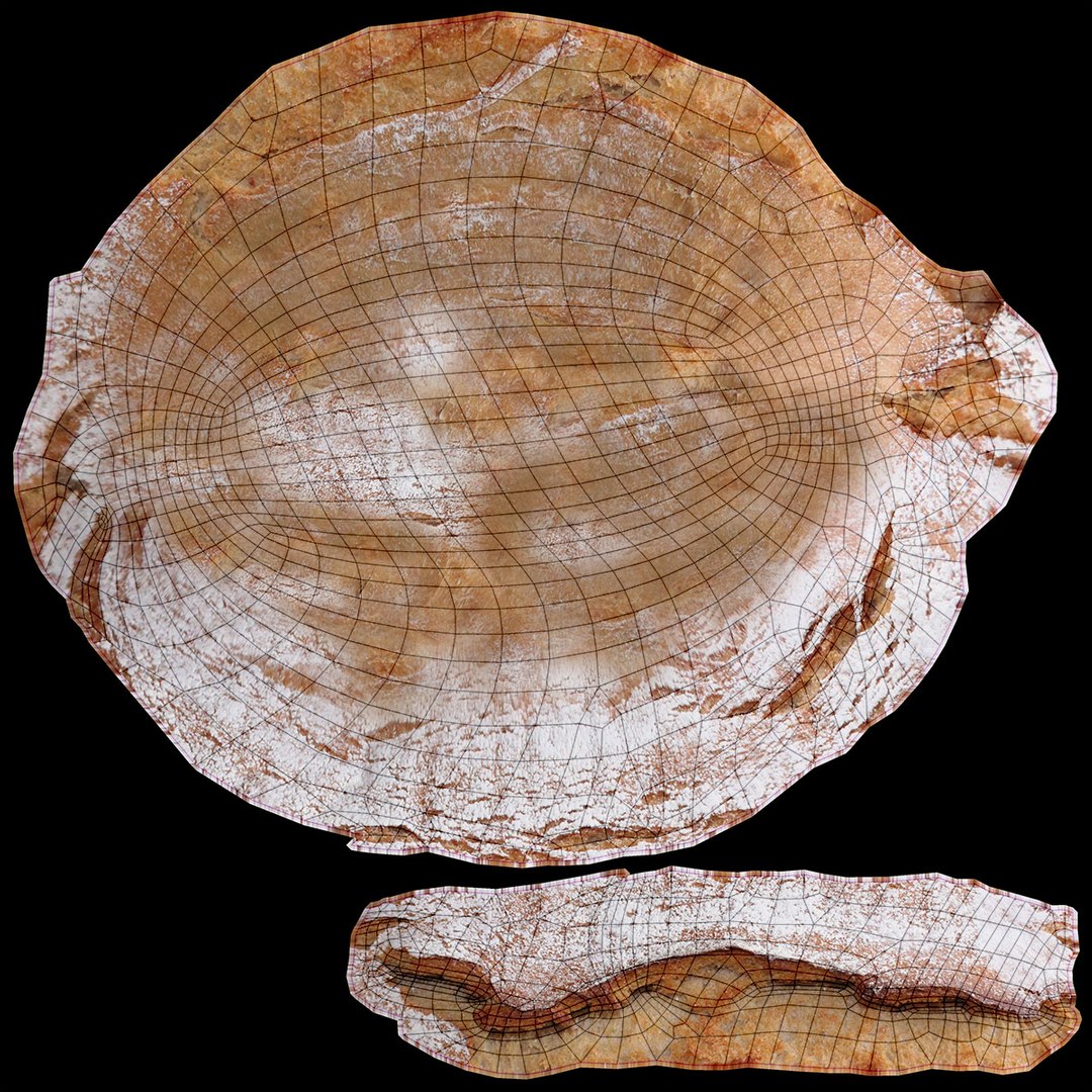 carbohydrates 3 3D https://p.turbosquid.com/ts-thumb/fI/0cByBQ/z2XU4UfK/kaiserroll_rr_30/jpg/1552323064/1920x1080/fit_q87/05a277cfc8a0d414c76f1feab31110af8a89eb0b/kaiserroll_rr_30.jpg