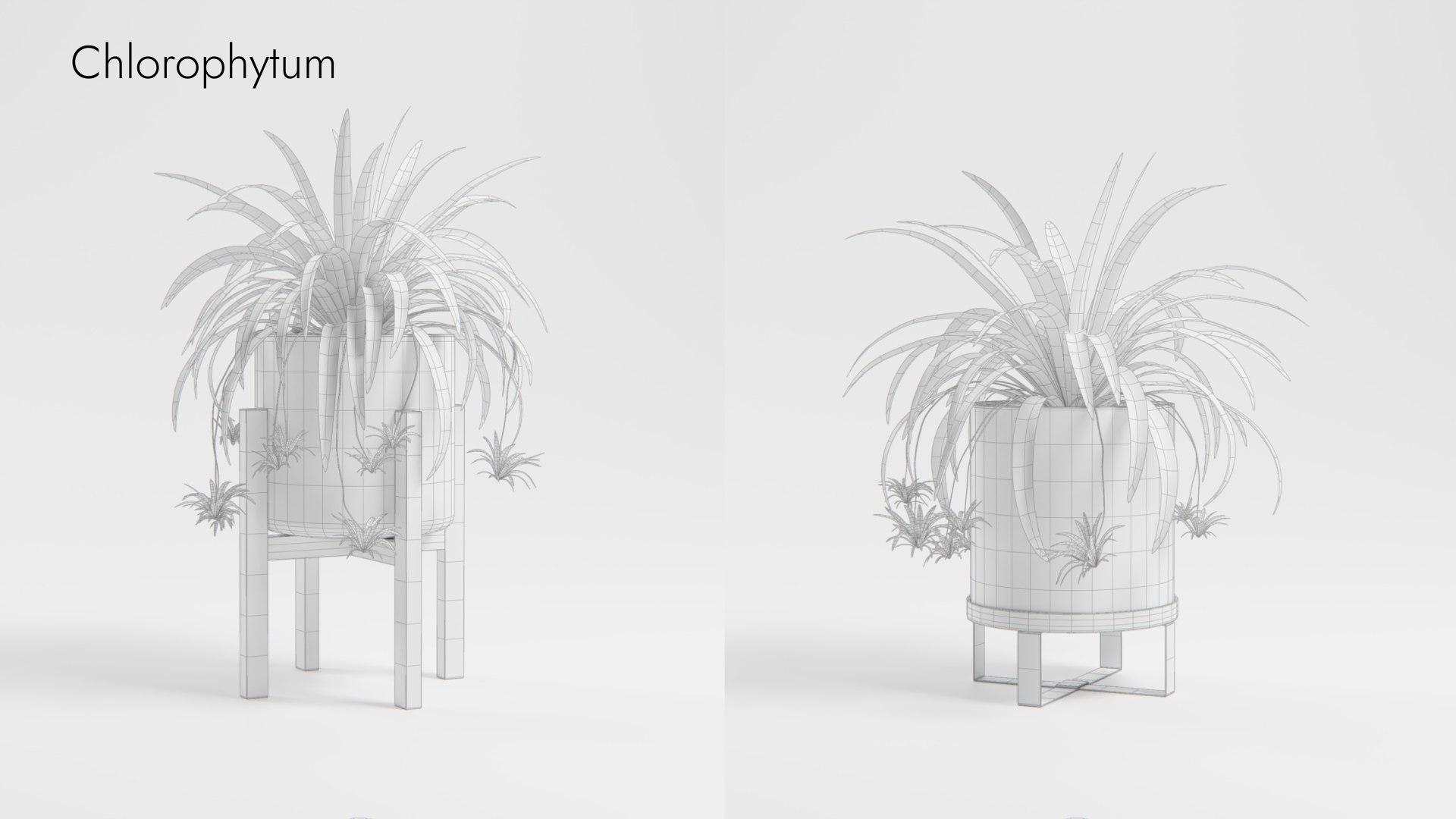 Plant Collection - 50 Models 3D https://p.turbosquid.com/ts-thumb/fI/8rCsqY/40/chlorophytum_01_wr_ts_0000/jpeg/1689392474/1920x1080/fit_q87/1aef7eb81cf4efeff86772afb2157f18406b78bd/chlorophytum_01_wr_ts_0000.jpg