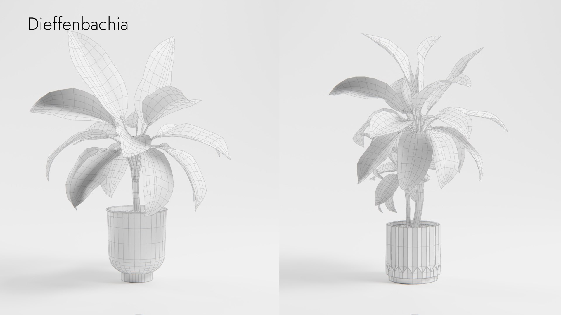 Plant Collection - 50 Models 3D https://p.turbosquid.com/ts-thumb/fI/8rCsqY/Ak/dieffenbachia_01_wr_ts_0000/jpeg/1689392475/1920x1080/fit_q87/c0b38f10d275d492df850745699d78066e48bf19/dieffenbachia_01_wr_ts_0000.jpg