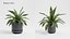 Plant Collection - 50 Models