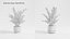 Plant Collection - 50 Models
