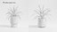 Plant Collection - 50 Models