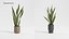 Plant Collection - 50 Models