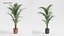 Plant Collection - 50 Models