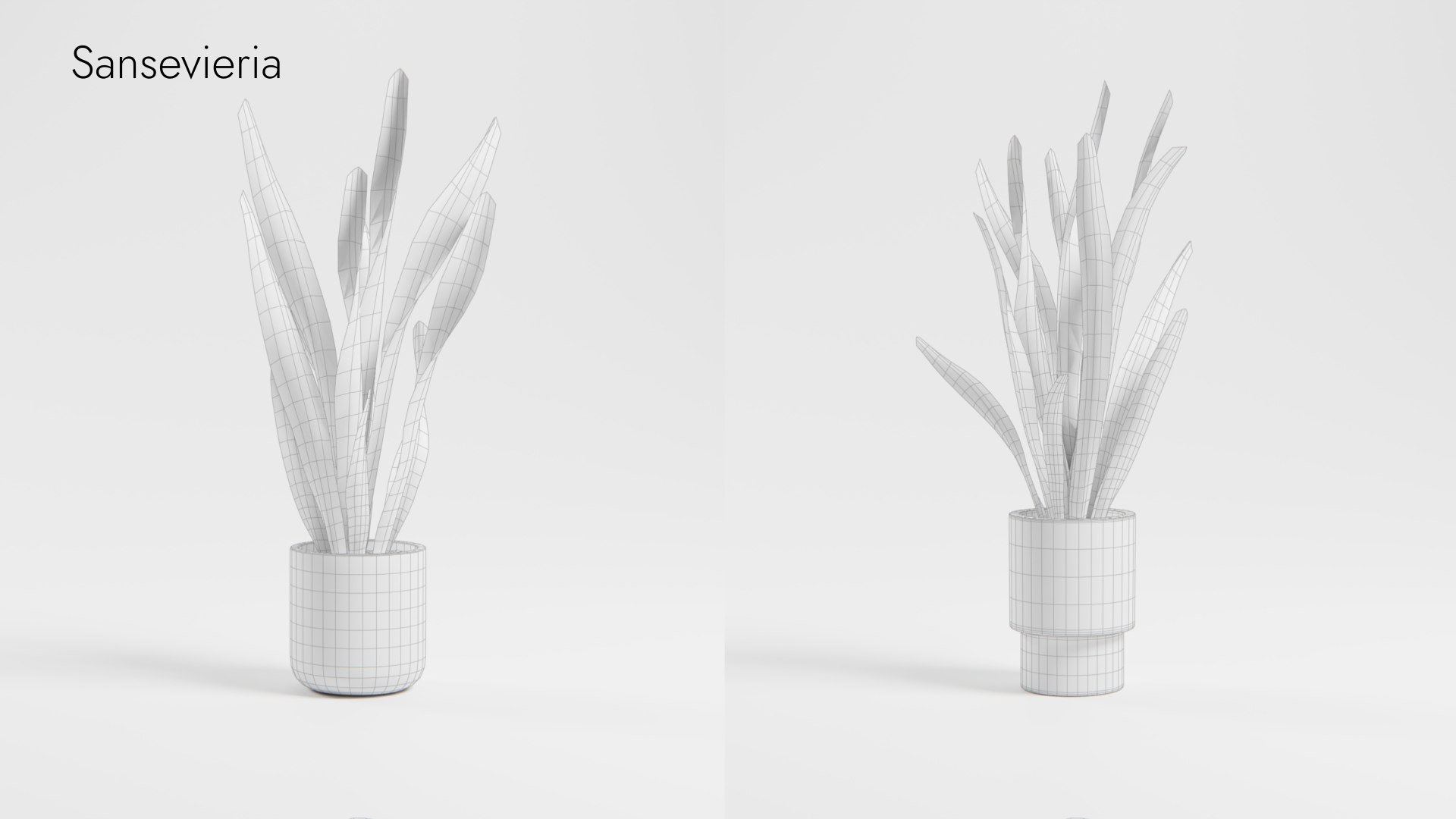 Plant Collection - 50 Models 3D https://p.turbosquid.com/ts-thumb/fI/8rCsqY/td/sansevieria_01_wr_ts_0000/jpeg/1689392481/1920x1080/fit_q87/a9fe43b5de29ea456ac46642f84431124ab23e43/sansevieria_01_wr_ts_0000.jpg