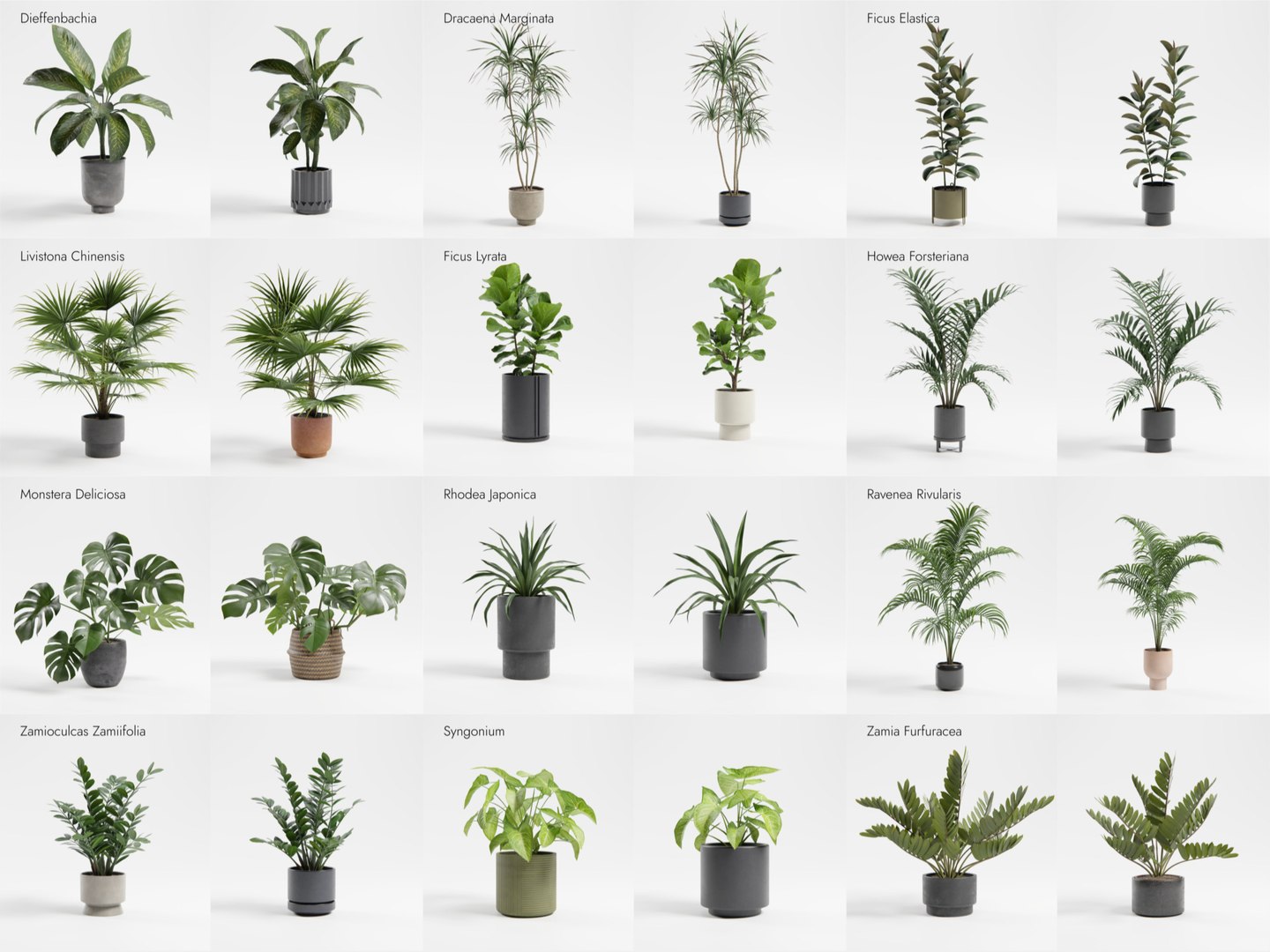 Plant Collection - 50 Models 3D https://p.turbosquid.com/ts-thumb/fI/8rCsqY/yO/vinette_asset_02_var02_/jpeg/1689391936/1920x1080/fit_q87/3d3271b6444143ae99257fe45b24beb0c14dc9af/vinette_asset_02_var02_.jpg