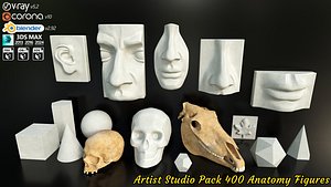 Artist Studio Pack 400 - Anatomy Figures model
