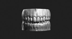 teeth sculpt production 3d obj