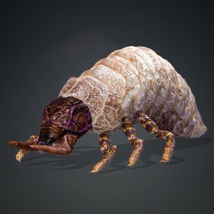 Larval-V1b