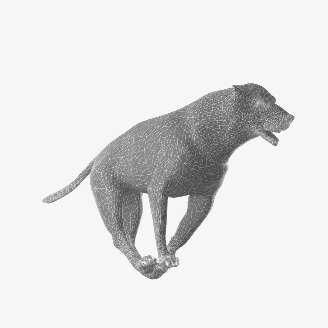 3d Realistic Labrador Rigged Model