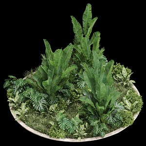 3D model Plants collection 777