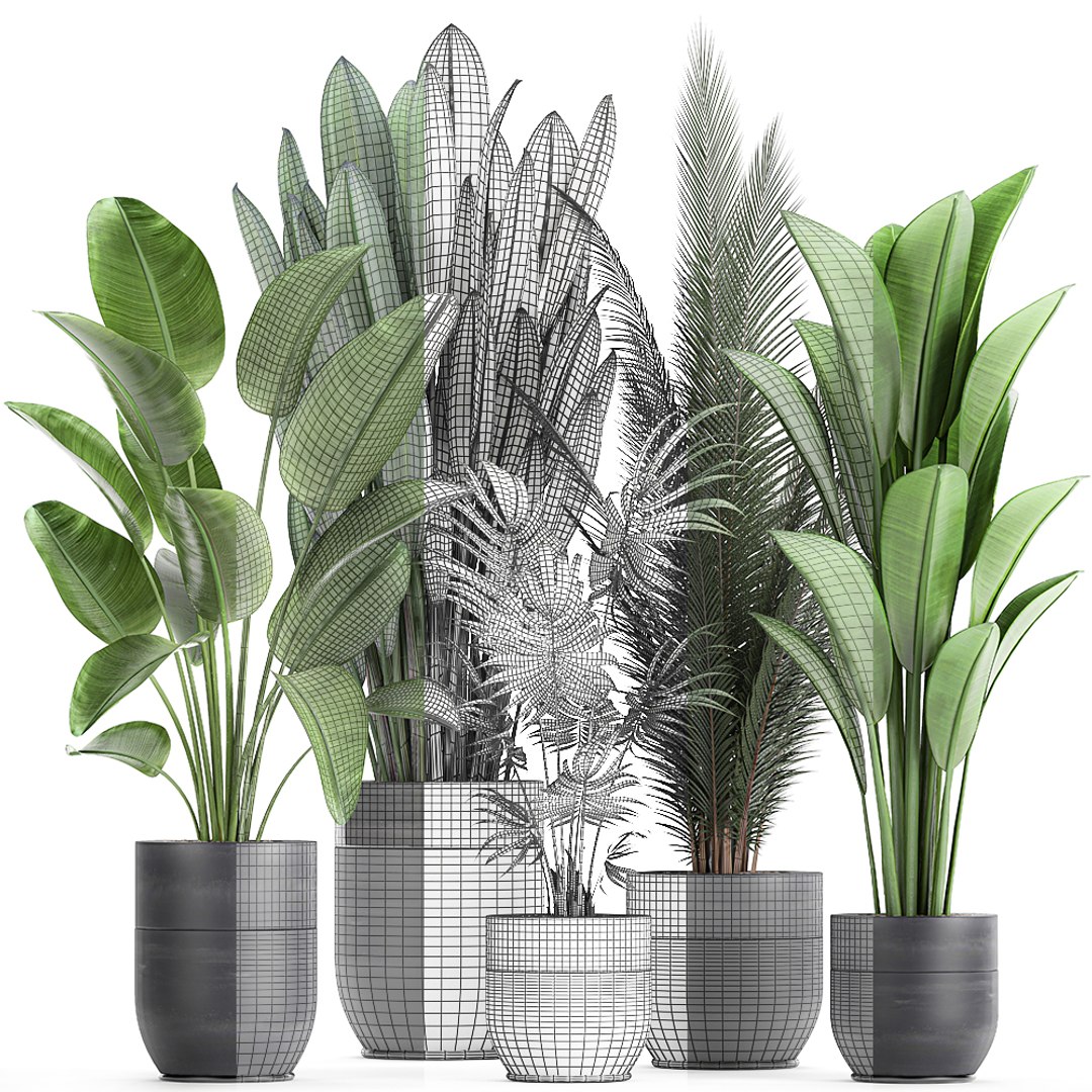 3d Interior Houseplants - Turbosquid 1634584