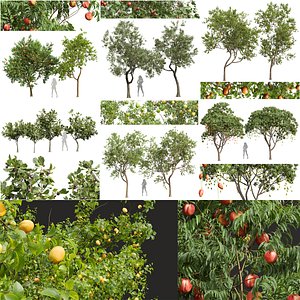 6 Different SETS of Tree Set Vol 20 3D model
