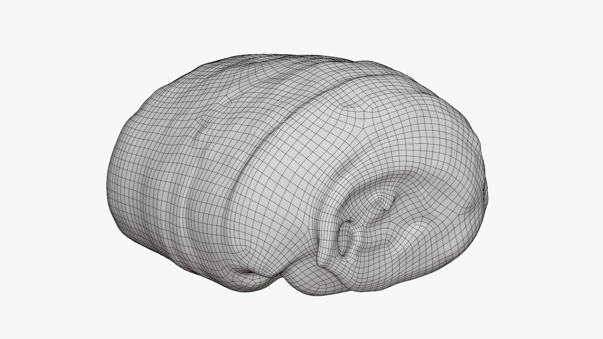 3D Sliced Oat Bread Half 01 https://p.turbosquid.com/ts-thumb/fI/brPpTt/E8/halfoatmbread01_d0004/png/1758981383/1920x1080/fit_q87/7c238bef28b21ecbdc637d44e1a653e1adf4b4ee/halfoatmbread01_d0004.jpg
