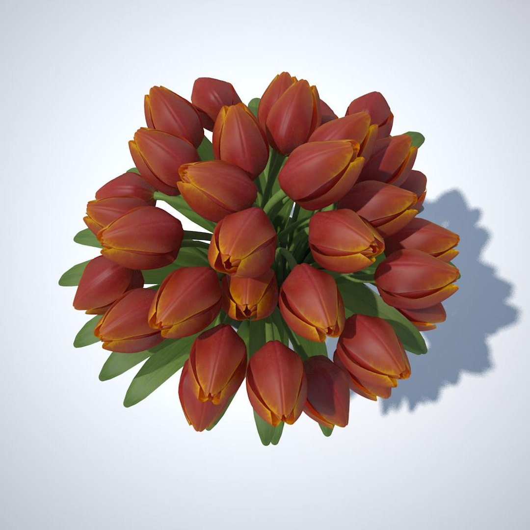 tulips bouquet v5 3ds https://p.turbosquid.com/ts-thumb/fI/eXXIKT/S9DEhzUM/06/jpg/1444176537/1920x1080/fit_q87/fea6154cb8a4393a513550f6b1200897221ca3e8/06.jpg