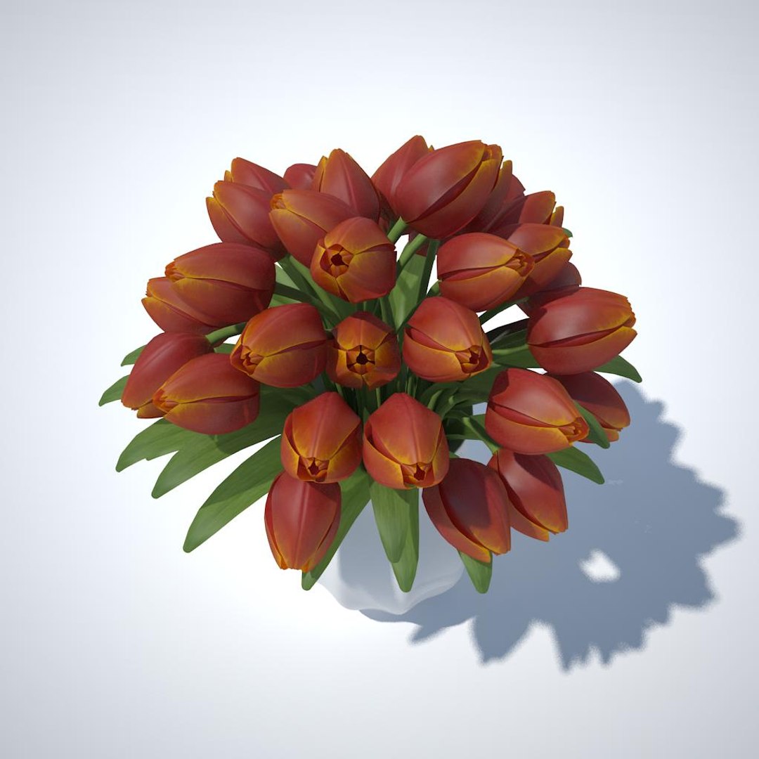 tulips bouquet v5 3ds https://p.turbosquid.com/ts-thumb/fI/eXXIKT/VW39smBH/05/jpg/1444176531/1920x1080/fit_q87/a0a12807993f6afc859a8910fed4e3fd6140a7d3/05.jpg