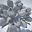 bouquet di tulipani v5